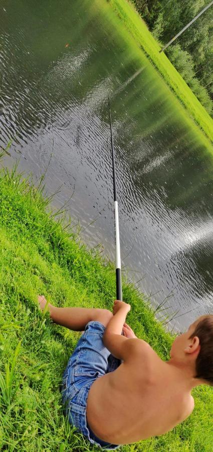 فندق Orupohja Kaempingud Ja Telkimisala Põlva المظهر الخارجي الصورة